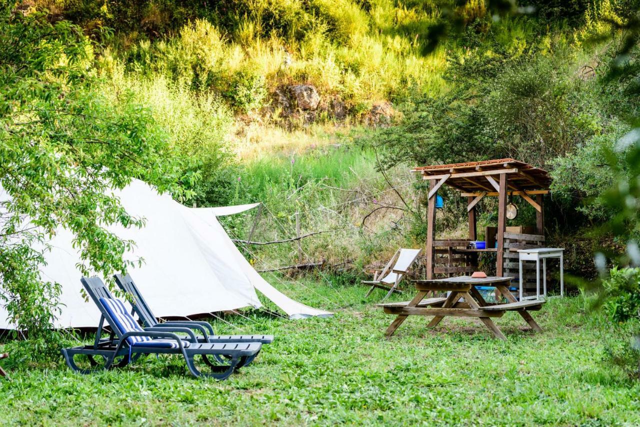 Giant Canvas Rental Tent Agro-Turismo Quinta Da Fonte Figueiro Dos Vinhos Luaran gambar