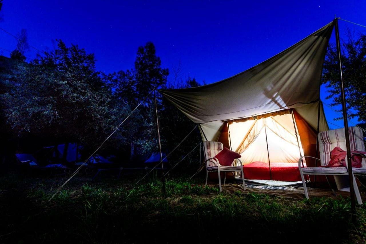Giant Canvas Rental Tent Agro-Turismo Quinta Da Fonte Figueiro Dos Vinhos Luaran gambar